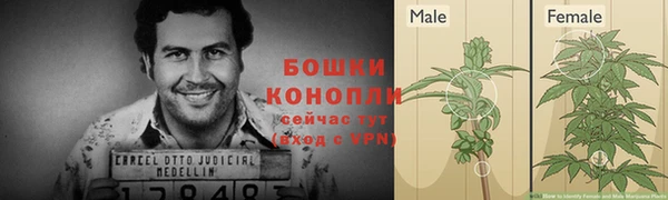 гидропоника Володарск