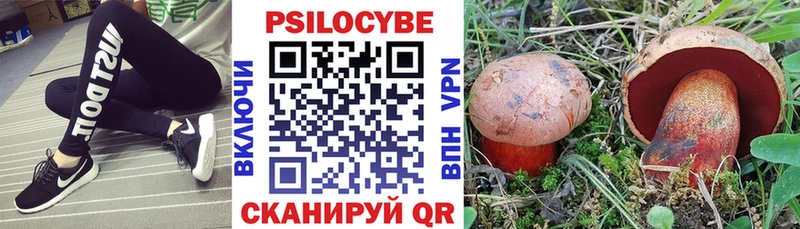 Купить где  Ивдель  Галлюциногенные грибы мицелий 
